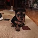 Eva Pennington Rose - @eva.rose1616 - Instagram
