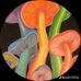 Evan Pennington - Facebook