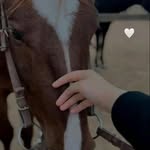 Wïssäl Bz - @evaperla145 - Instagram