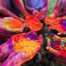 Eva Patel - Facebook