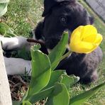 Eva Peters - Facebook