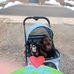 Eva Pfeifer - Facebook
