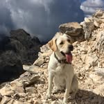 Eva Bergermann-Pfeiffer - @eva_c_b_p - Instagram