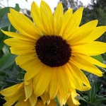 Eva Pfeiffer - @evapfeiffer54 - Instagram