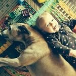 Eva Phalen - @ephalen78 - Instagram