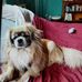 Eva Philippe - Facebook
