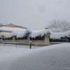 Pinales - @evapinales24 - TikTok