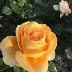 Plattner Eva - @plattnereva - Instagram