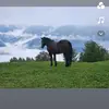Misslifra - @evaamplatz - TikTok