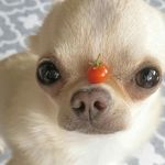 eva.polk. - @skbbdliw - Instagram