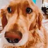 evapollard818 - @evapollard818 - TikTok