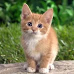 Eva Popovicova - Facebook