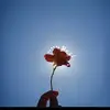 Je suis nouvelle ^^ - @evapoulin3 - TikTok