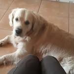 Eva gandía  poveda - @evagandiapoveda - Instagram