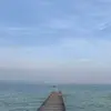 eva - @evapowell_ - TikTok