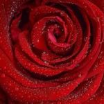 Eva Powell - @evapowellcool - Instagram