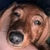 evanpraterr - @evanpraterr - TikTok