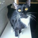 Eve Proctor-Gowen - @egowen1 - Instagram