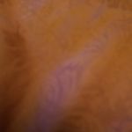 Eva Puente - @puente_eva - Instagram