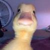 eva - @.evapulido - TikTok
