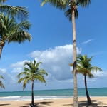 Eva Qin - @evaqin1 - Instagram
