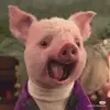 Eva Qin - @eva.qin - TikTok