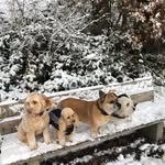 Eva Quattrocchi - @dolce050414 - Instagram