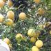 Eva Raddar - Facebook