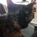 Eva Radtke - Facebook