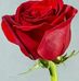 Eva Raines - Facebook