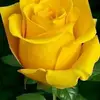 Eva Raines - @eva.raines5 - TikTok