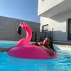 evaralston - @evaralston01 - TikTok