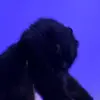 EvanRamey - @evanramey - TikTok