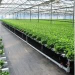 Evarand Business Support - @evarandbiz - Instagram