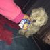 Eva Randazzo - Facebook
