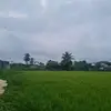 EvaRandazzo - @evarandazzoxymkxpn - TikTok