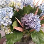 Eva Randle - @eva.randle.79 - Instagram