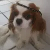 raphaeleva - @raphaeleva - TikTok