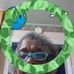 Eva Ratliff - Facebook