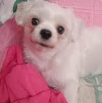 Eva-Raymond Pili Ronas - Facebook
