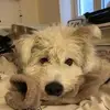 evarebernig - @evarebernig - TikTok