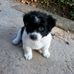 Eva Diaz Rebollar - Facebook