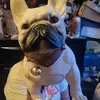 evarebollar531 - @evarebollar531 - TikTok