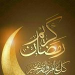 Fatma Reda - @eva_reda_ - Instagram