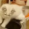 Eva Wreding - @eva.wreding - TikTok