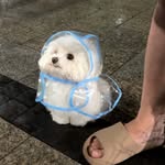 Eva Redmond - @evahredmond - Instagram