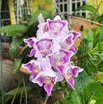 Eva Rence - Facebook