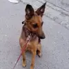 Eva M. Renner - @eva.m..renner - TikTok