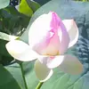 Eva Renner385 - @sego400 - TikTok
