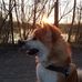 Eva Renner - Facebook